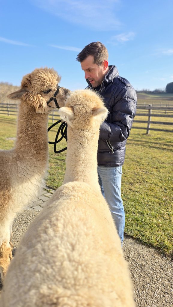 Nestschätze Alpakahof - elisery